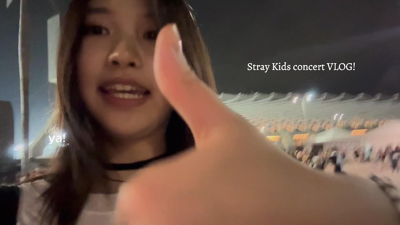 I went to *Stray Kids concert*!!! (a concert vlog)