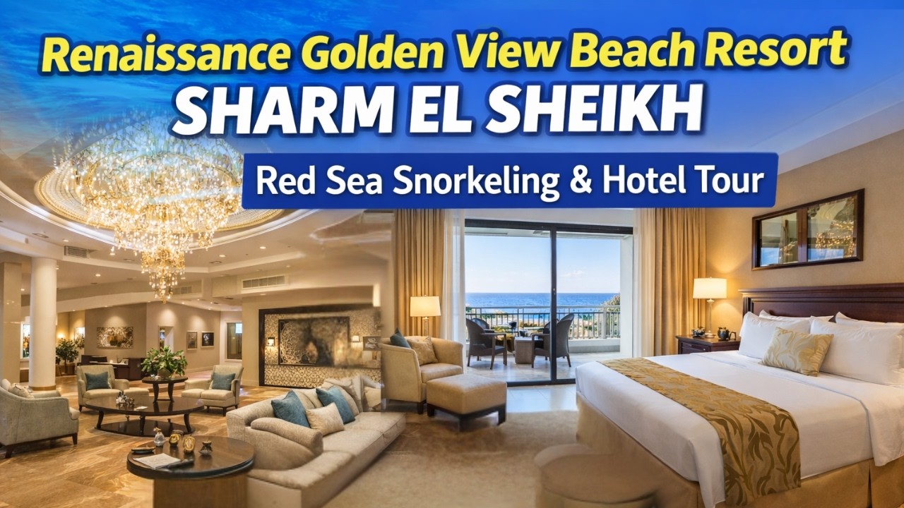 Hotel Renaissance Golden View #sharmelsheikh  #snorkeling #egypt