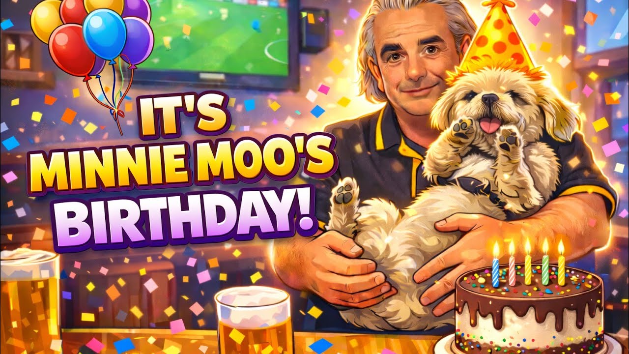Сегодня день рождения ши-тцу Минни Му! 🎂🐾 Самое милое собачье торжество!