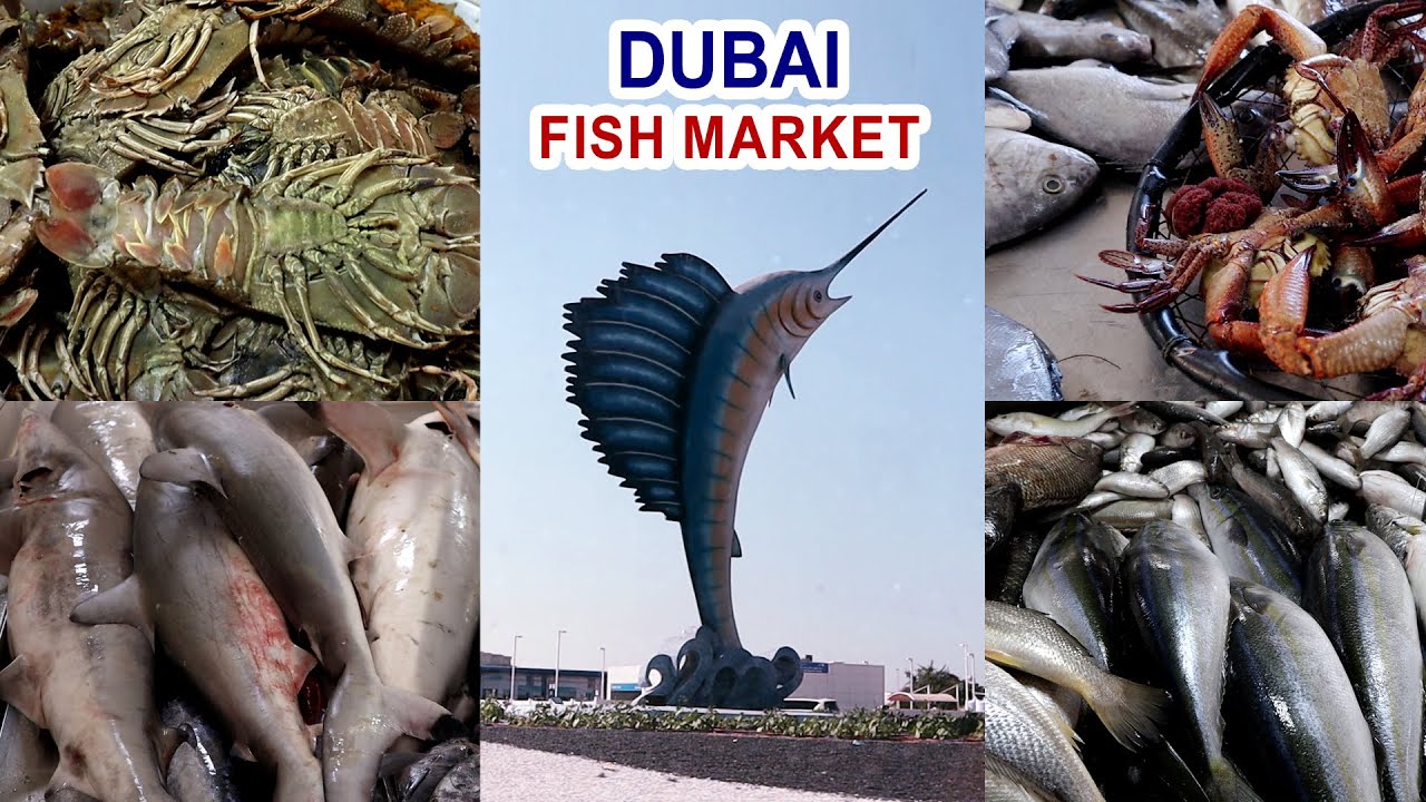Umm Al Quwain Fish Market In Dubai | Seaside Fresh Seafood Market In Dubai | Dubai Extreme