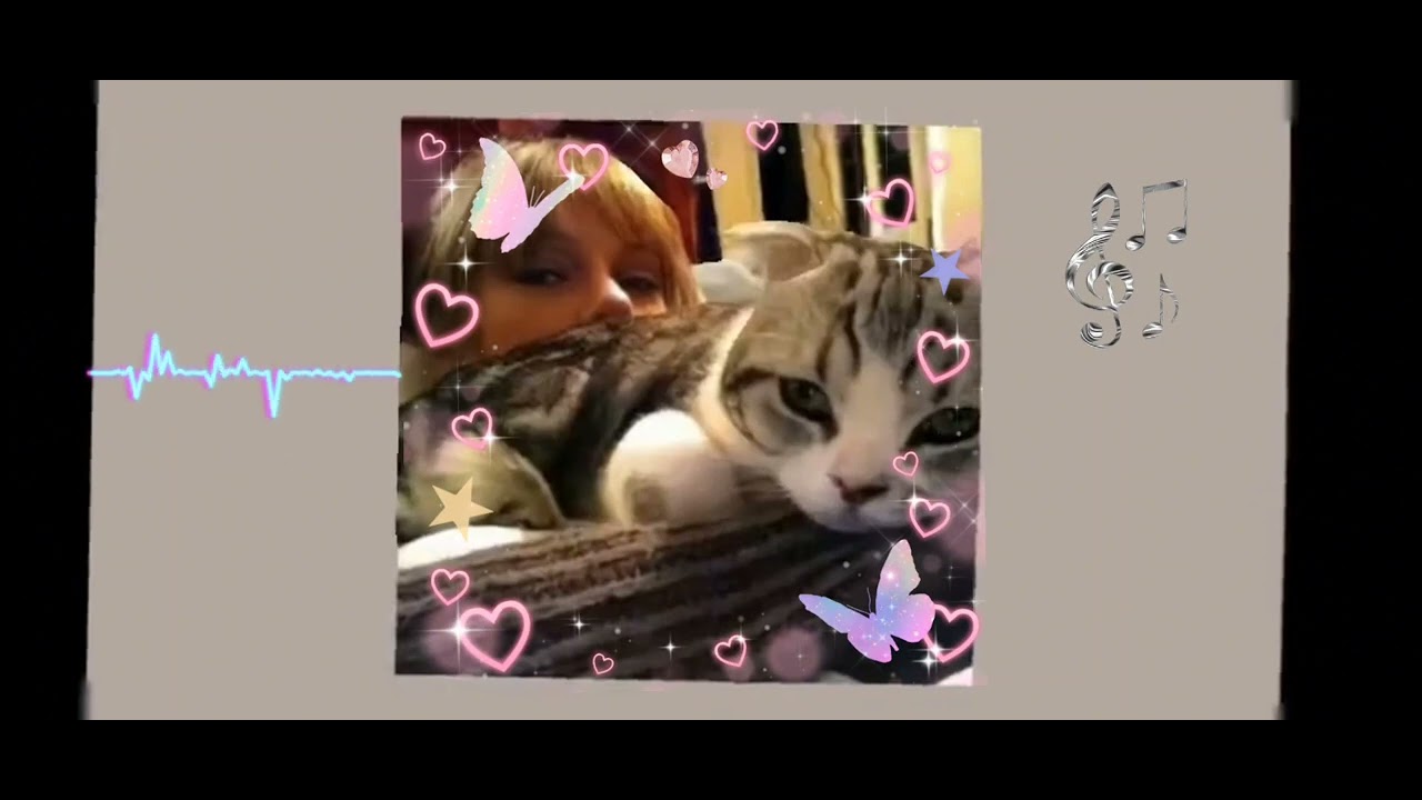 sped up  Macavity TS
