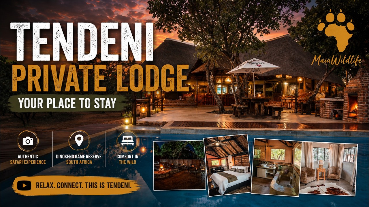 Tendeni Private Lodge - Your place to stay at Dinokeng Game Reserve, South Africa.