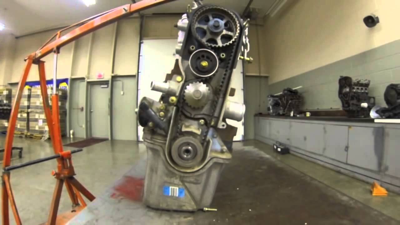 Ford Escort 2 0L Timing Belt