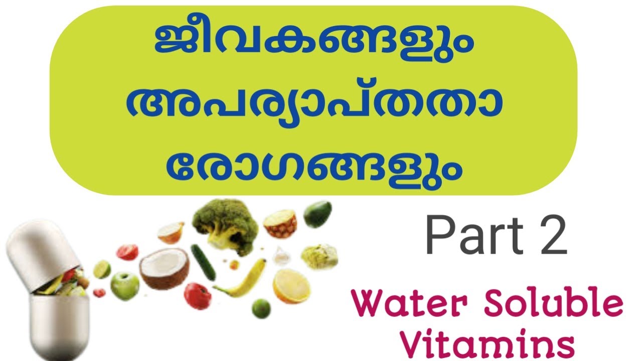 ജീവകങ്ങളും അപര്യാപ്തതാ രോഗങ്ങളും ഭാഗം 2: Water Soluble Vitamins | New Series: General Science-Part 2