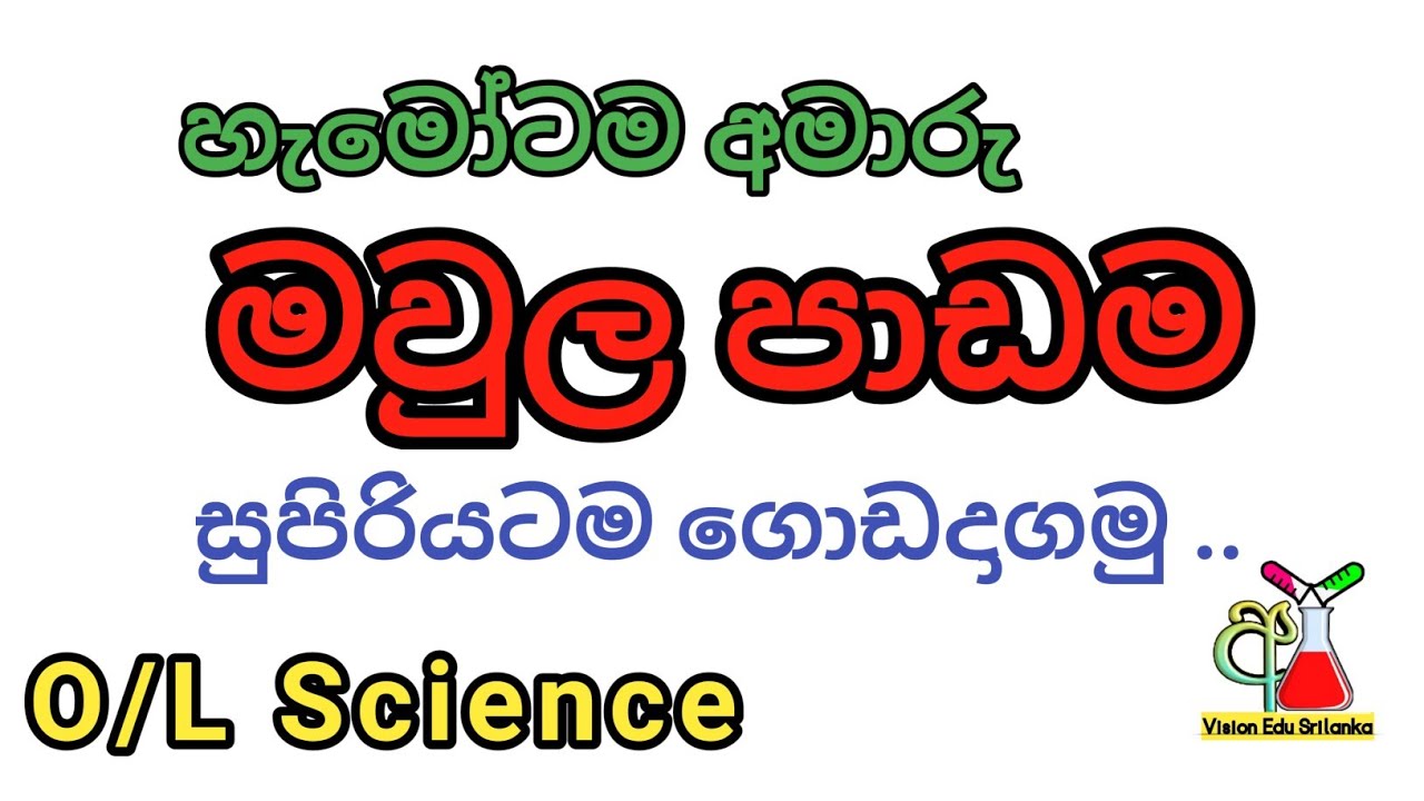 10 ශ්‍රේණිය විද්‍යාව | 07 වන පාඩම මූලද්‍රව්‍ය හා සංයෝග ප්‍රමාණනය | 02 වන වාර විභාග පුහුණුව