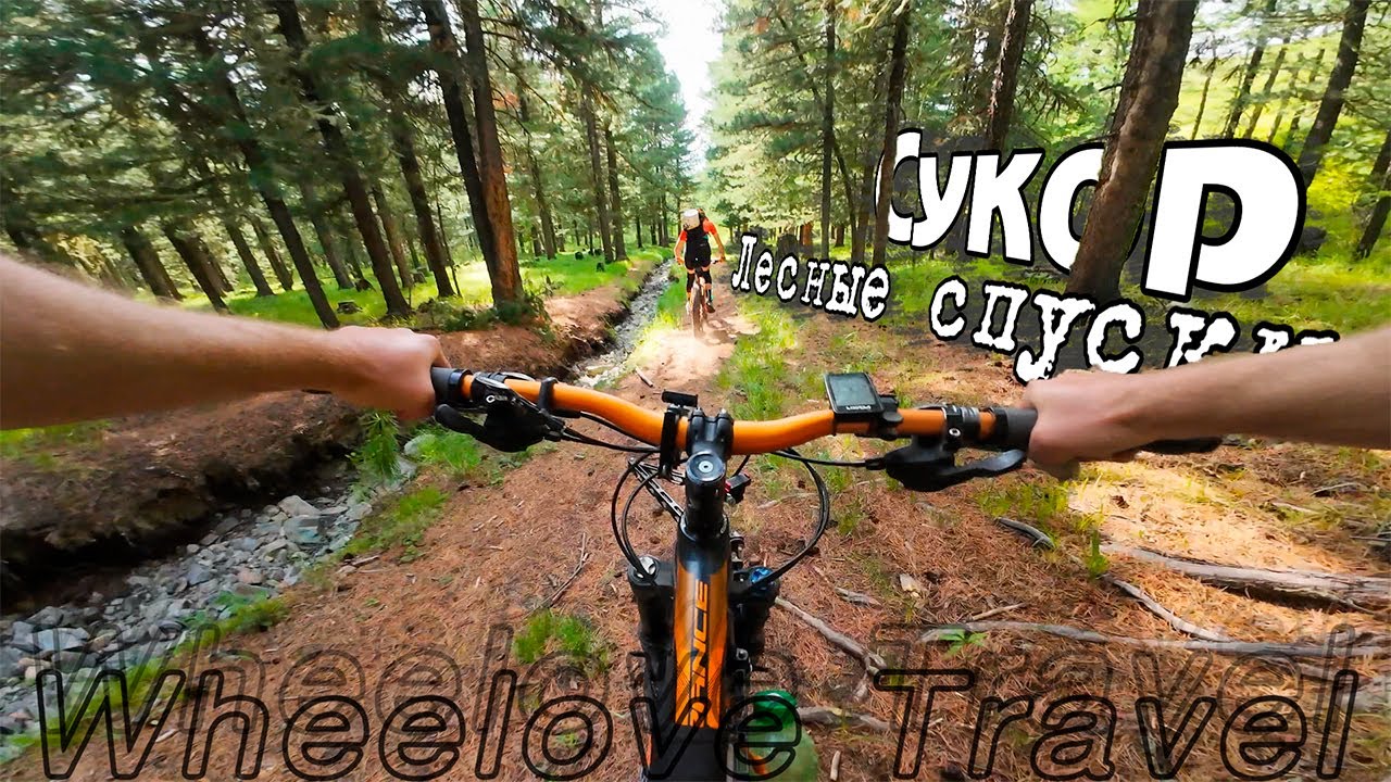 Лесные Спуски Сукор Trail