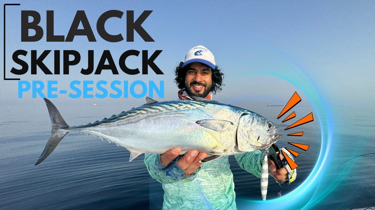 Shore Fishing to Warming Up for Skipjack Tuna Fishing