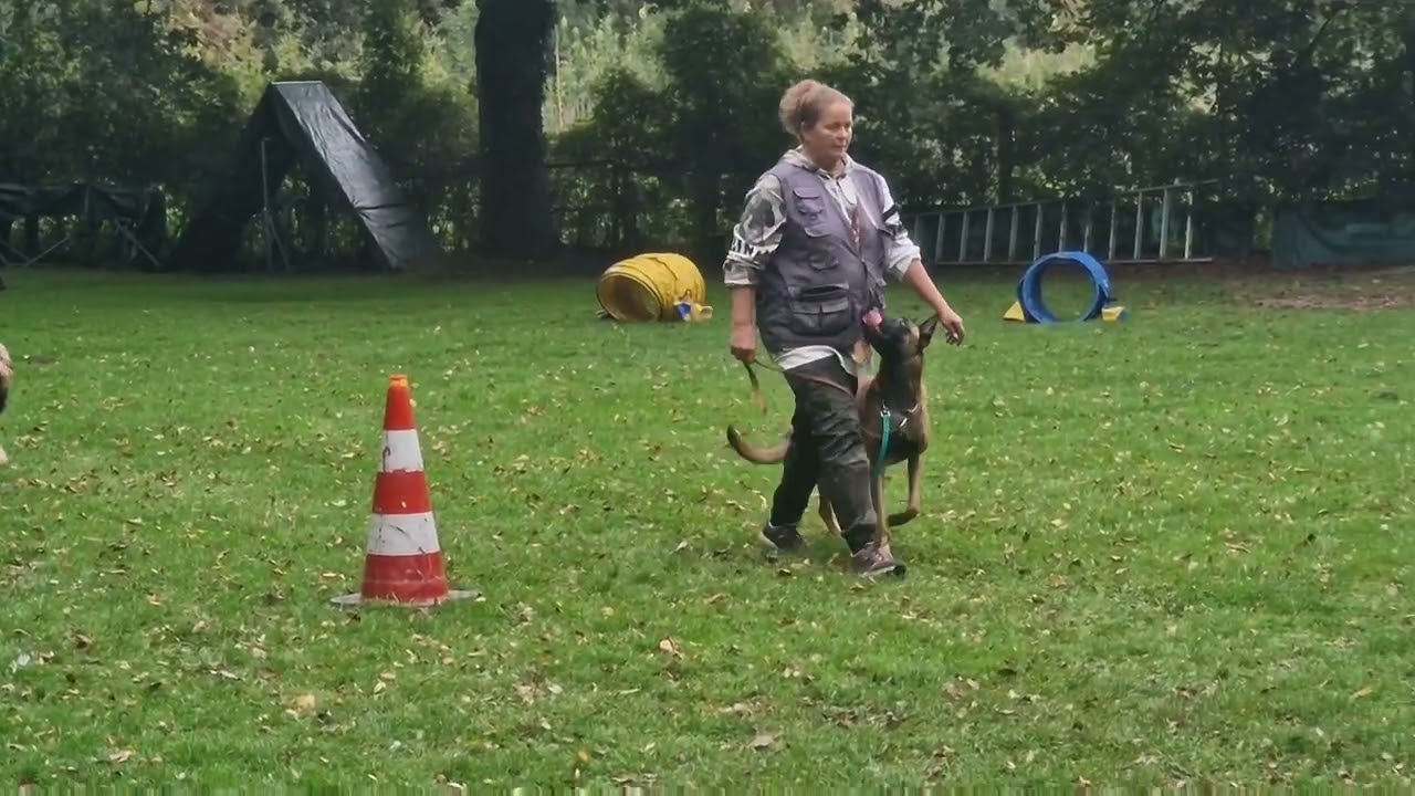 Fuß
