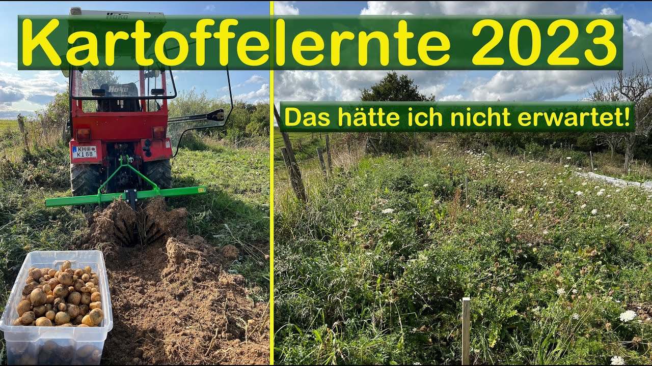 Selbstversorger VLOG  Kartoffeln ernten mit dem Hakotrac und einem Kartoffelroder im Kartoffelacker