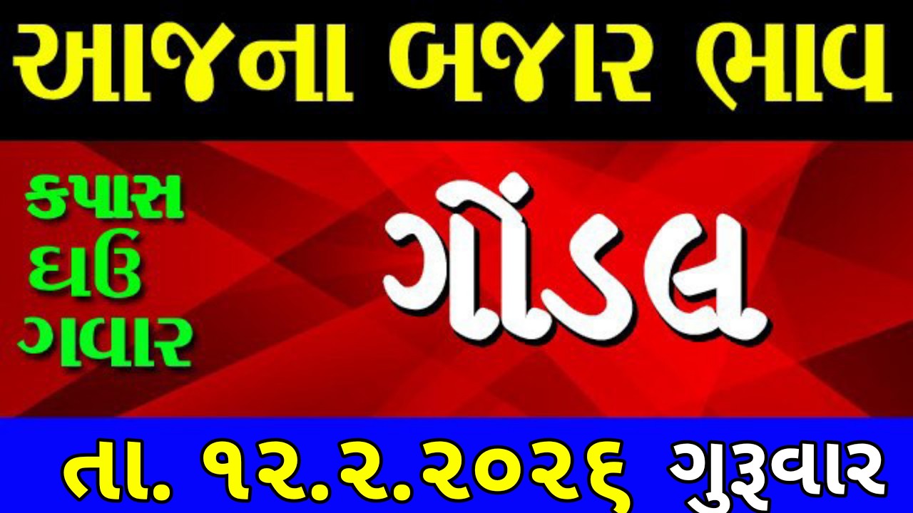Commodity price 12.2.2026 gondal marketing yard na bhav | saurashtra ajna bajar bhav |commodity rate