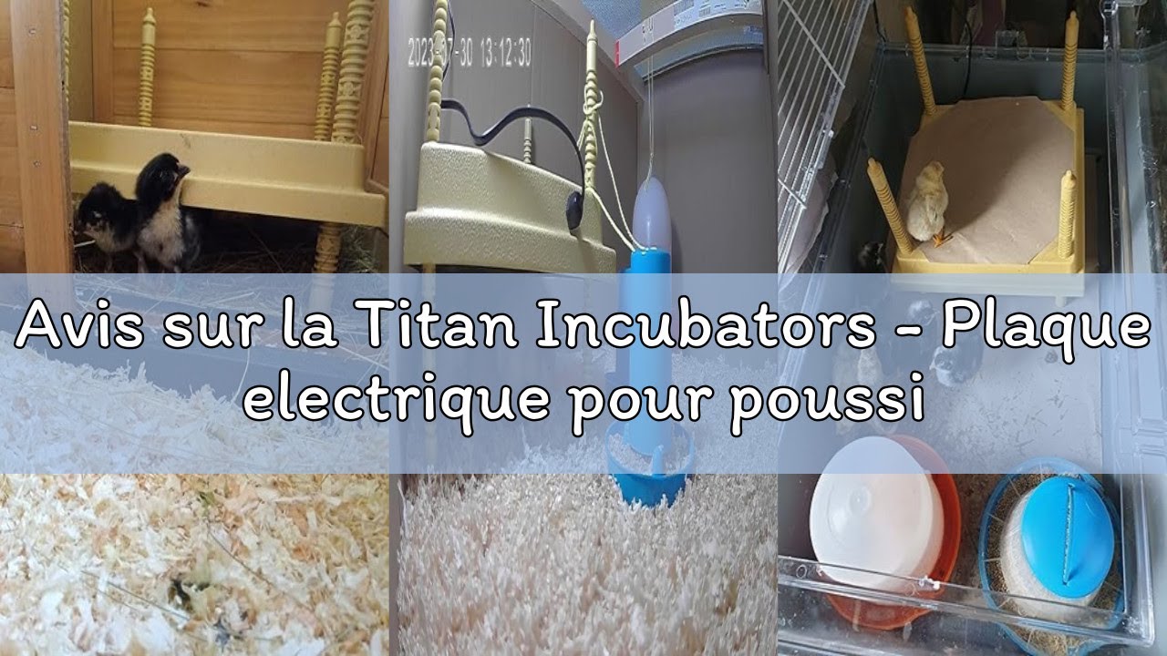 Avis sur la Titan Incubators - Plaque electrique pour poussins - 30x30 cm
