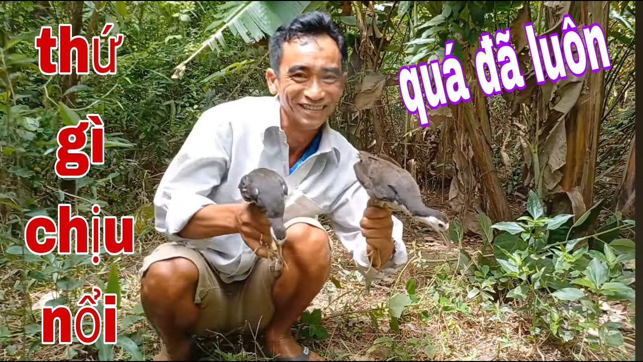 Cách Bẫy Quốc Hiệu Quả Nhất 1 Phát Dính 2 Con # SĂN BẮT ĐỒNG THÁP #