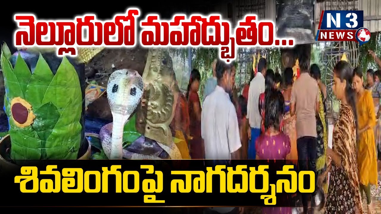 నెల్లూరులో మహాద్భుతం.. శివలింగంపై నాగదర్శనం.| Two Cobra's in Shri Vishwanath Swamy Temple Manubolu