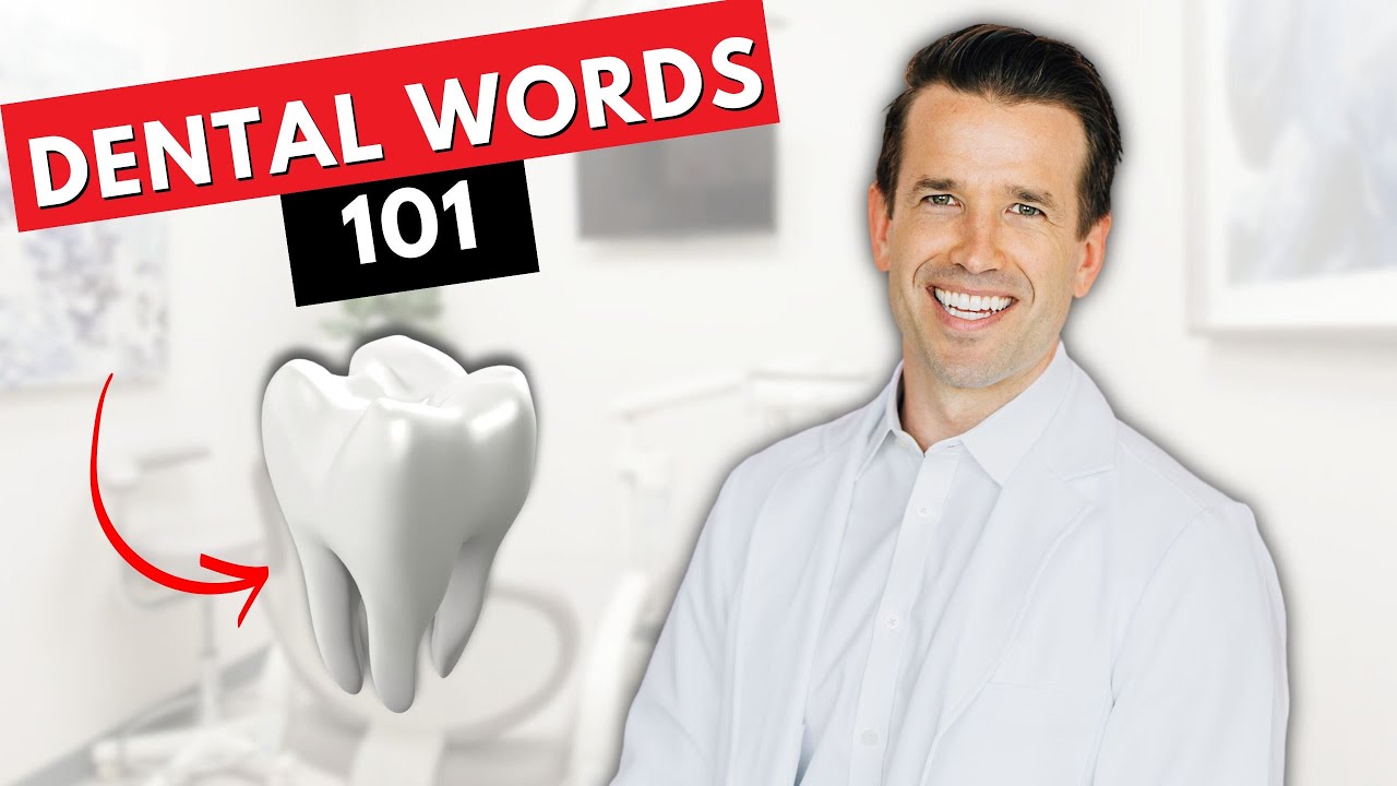 Dental Terminology Basics for Dental Assistants