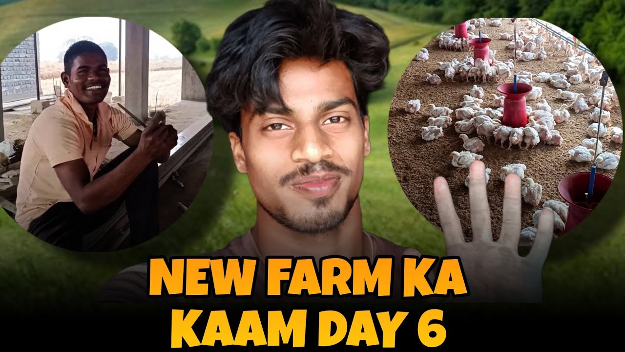NEW FARM KA KAAM DAY 6 🙂