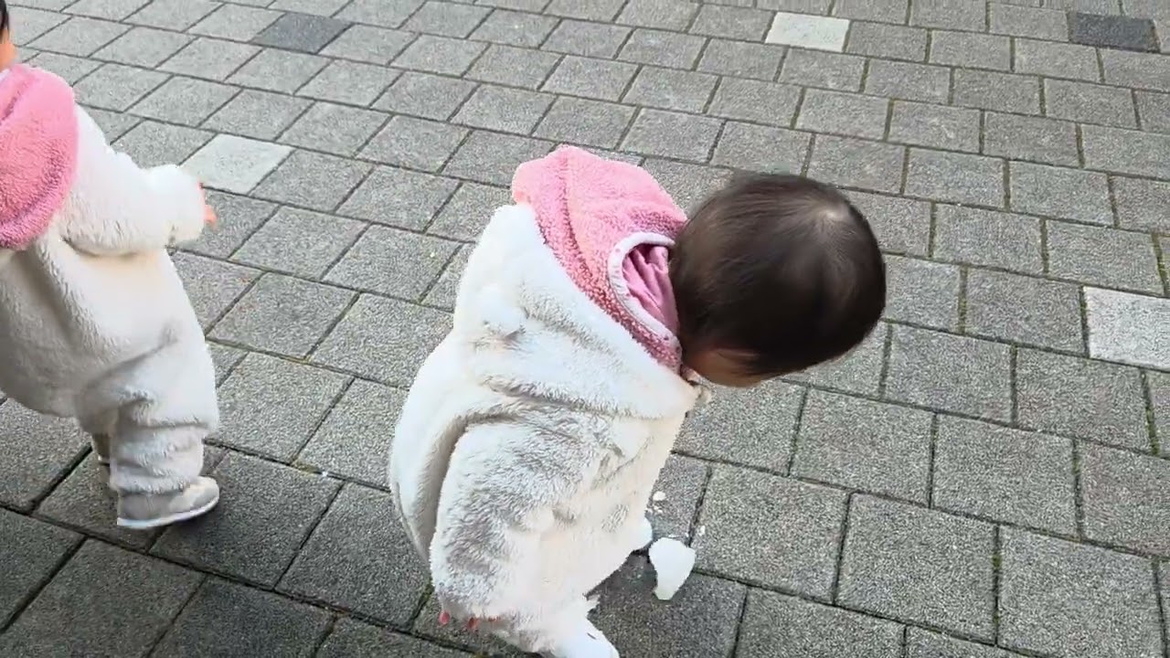 2026년 2월 25일