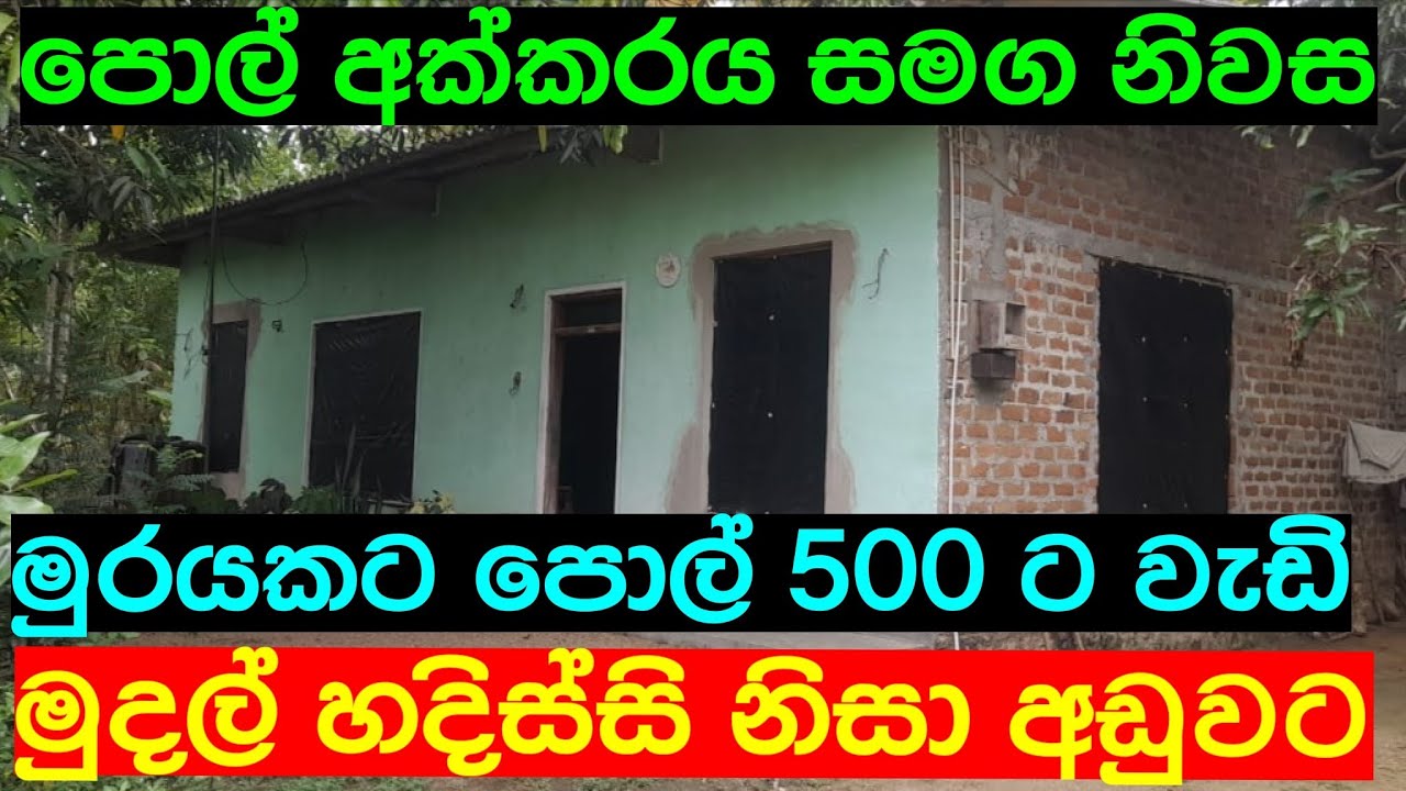 Coconut Land With House For Sale Sri Lanka cheapest land | aduwata gewal | aduwata idam | Idam Kadam