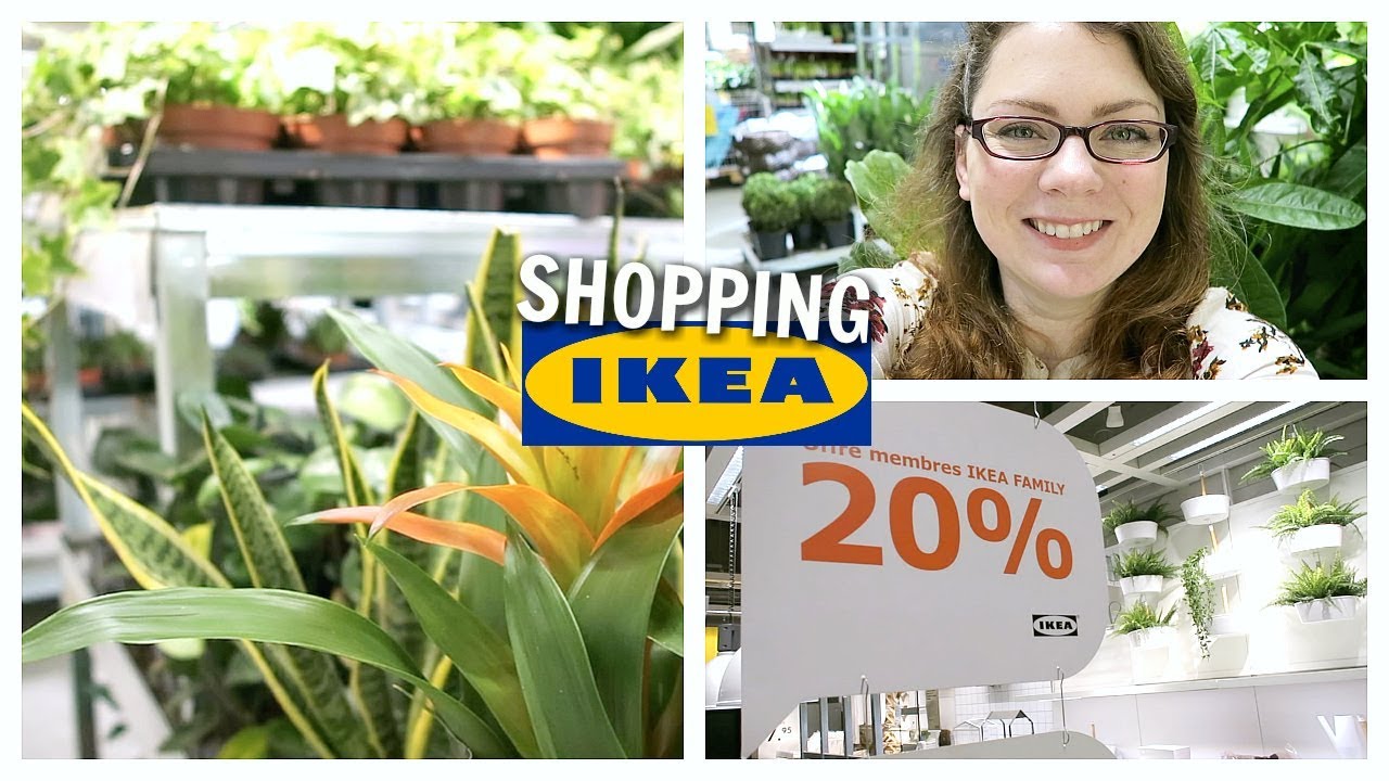 SHOPPING VLOG - Toutes les plantes d’intérieur en promo : action chez IKEA | IKEA Shopping #9