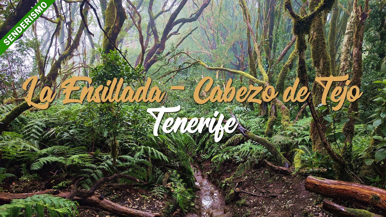 Sendero Circular La Ensillada – Cabezo de Tejo | El Pijaral (Anaga, Tenerife)