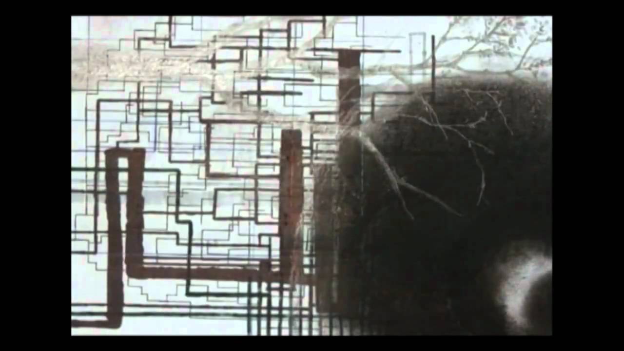 David Thomas Broughton - 'Perfect Louse' (OFFICIAL VIDEO)