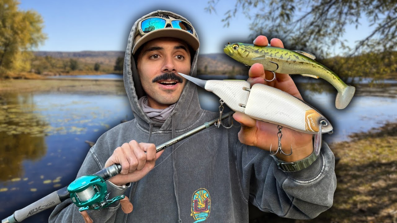 Usando señuelos Grandes para pescar LOBINAS GRANDES! -Swimbaits (Tiny Klash, Magdraft)