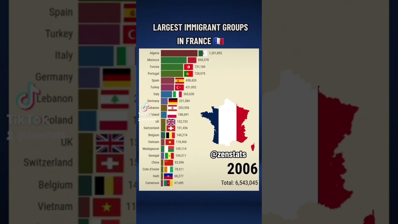 LARGEST IMMIGRANT GROUPS IN FRANCE #france #immigration