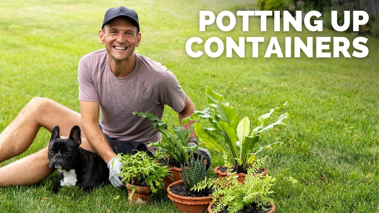 Planting Up Some Last-Minute Spring Containers & Perennials | Gardening with Wyse Guide