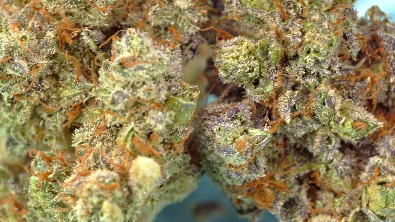 Cadbury og cinematic video