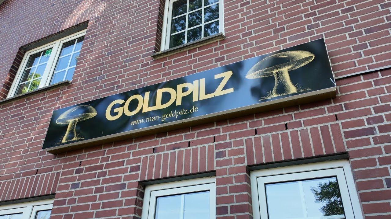Zu Besuch bei der Pilzfarm Goldpilz