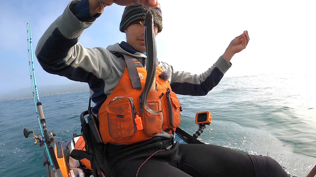 Fishing with LIVE EELS for Big Predatory Fish (New Dry Bags)