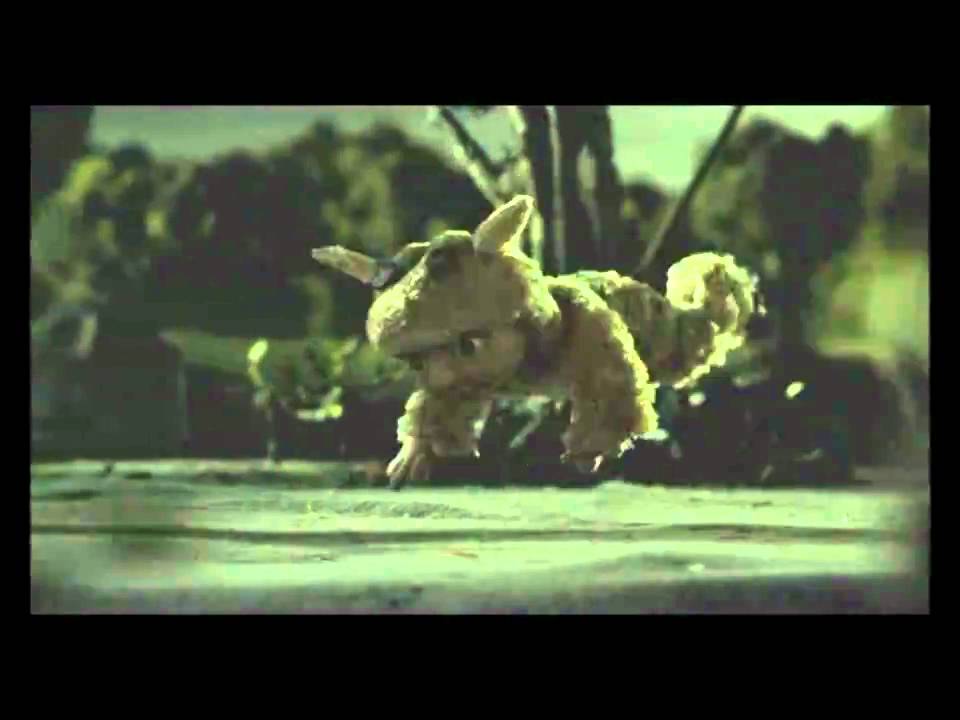 Animal / Elukka part 3/3