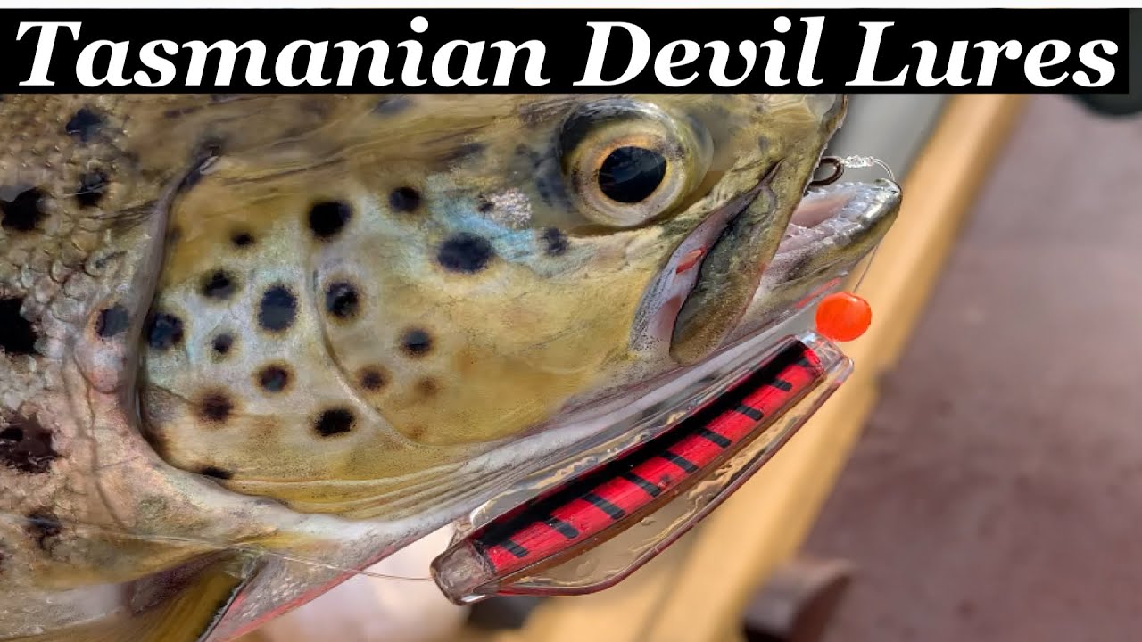 HOW GOOD are Tassie Devil Lures for TROUT | Tasmanian Devil