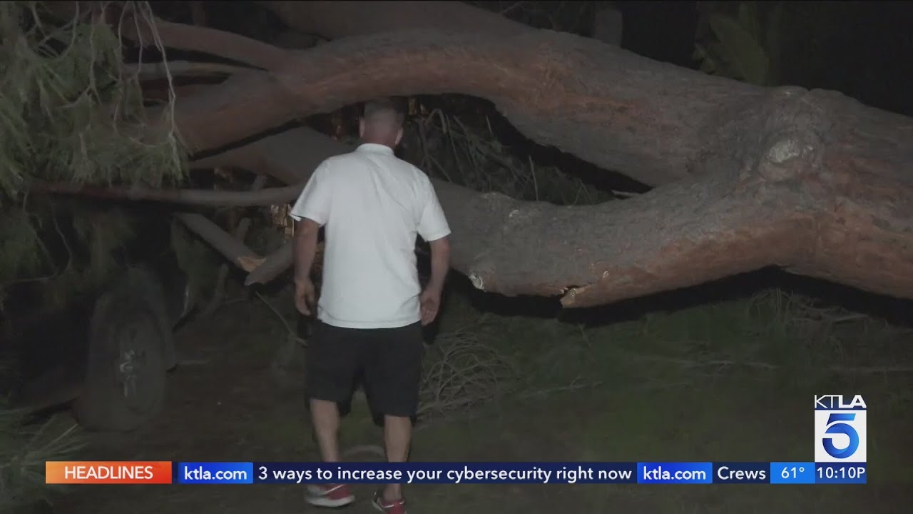 Large tree collapses onto Diamond Bar home