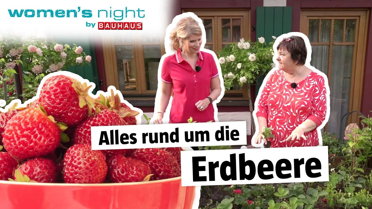 8. Women's Night Web-Seminar: Alles rund um die Erdbeere - vom Hochbeet bis zur Ernte | BAUHAUS