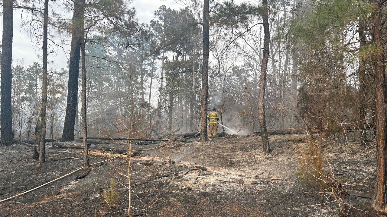 Wildfires ravage Cass County, TX