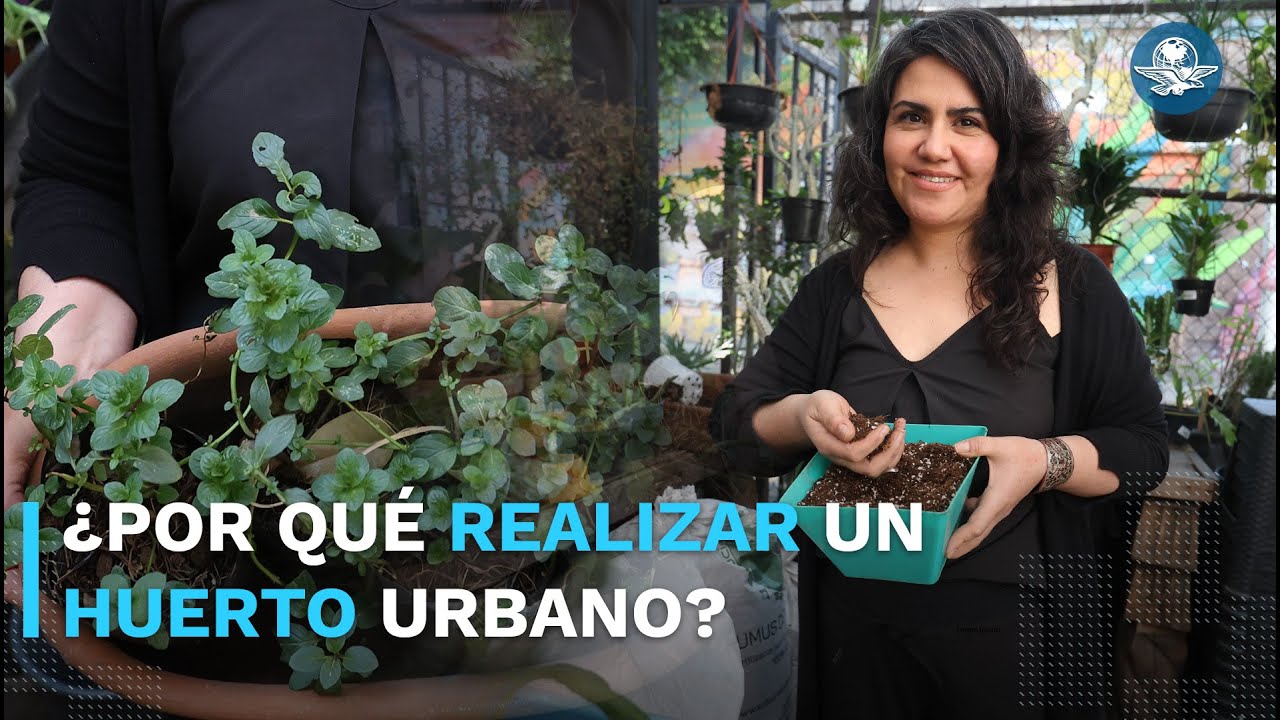 Huertos urbanos, el espacio para tu bienestar