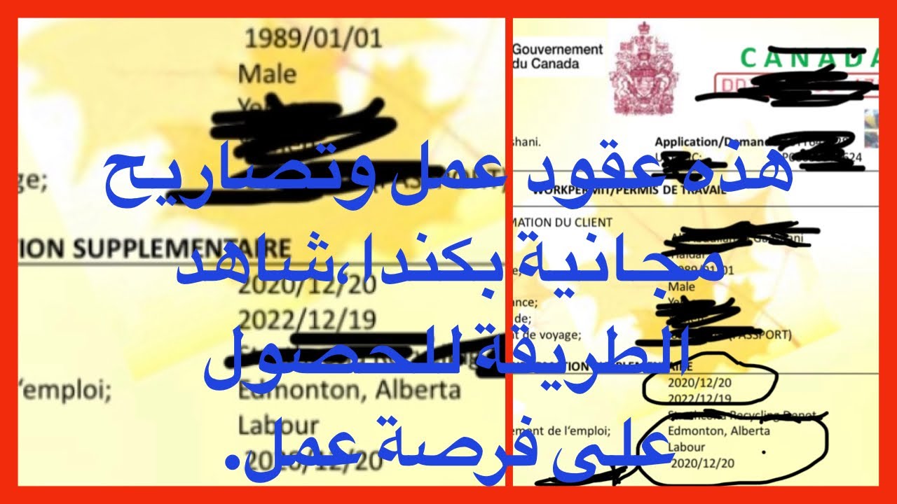 شاهدوا كيف حصل بعض الناس و نجحوا في الحصول على عقود عمل مجانية بكندا#  Contrat Canada #
