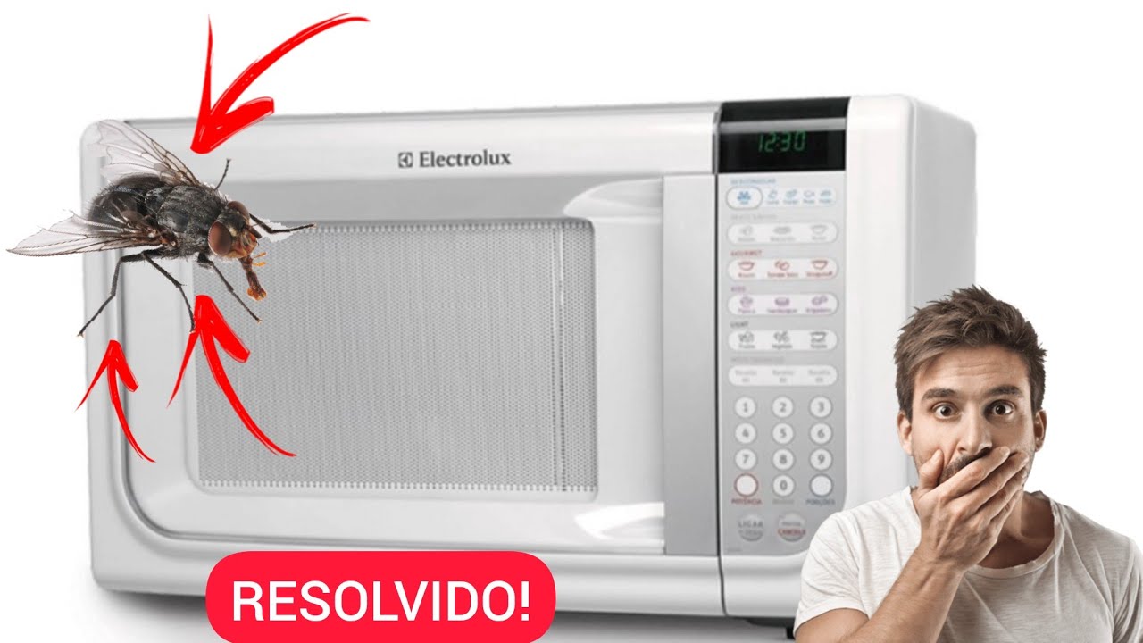 MOSCA DENTRO DA PORTA DO MICROONDAS ELECTROLUX MEF41 - O QUE FAZER?