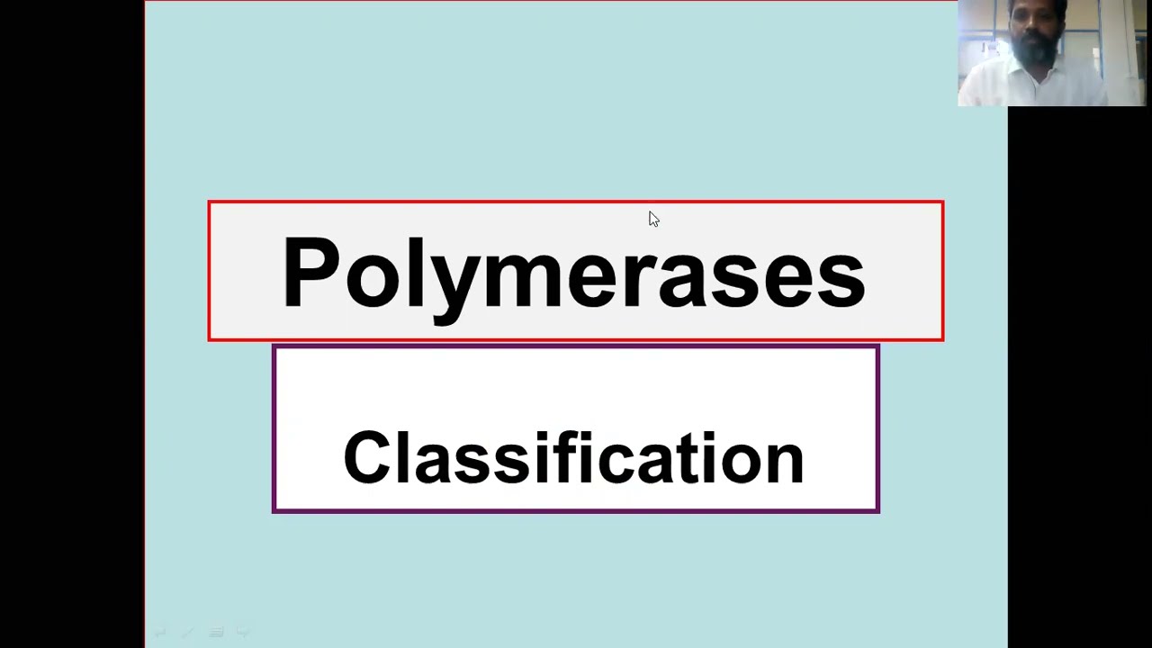 Polymerases Classification: DNA and RNA synthesis, cDNA synthesis