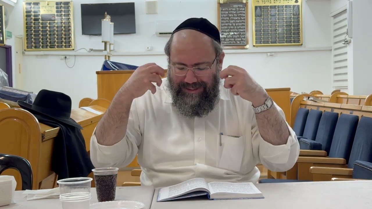 שיר השירים 11