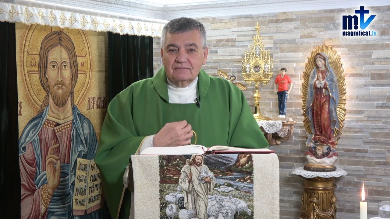 “Ni Hipocresía Ni Ambición” | Homilía, Martes VI Semana del T.O. (17-02-2026) | P. Santiago M.