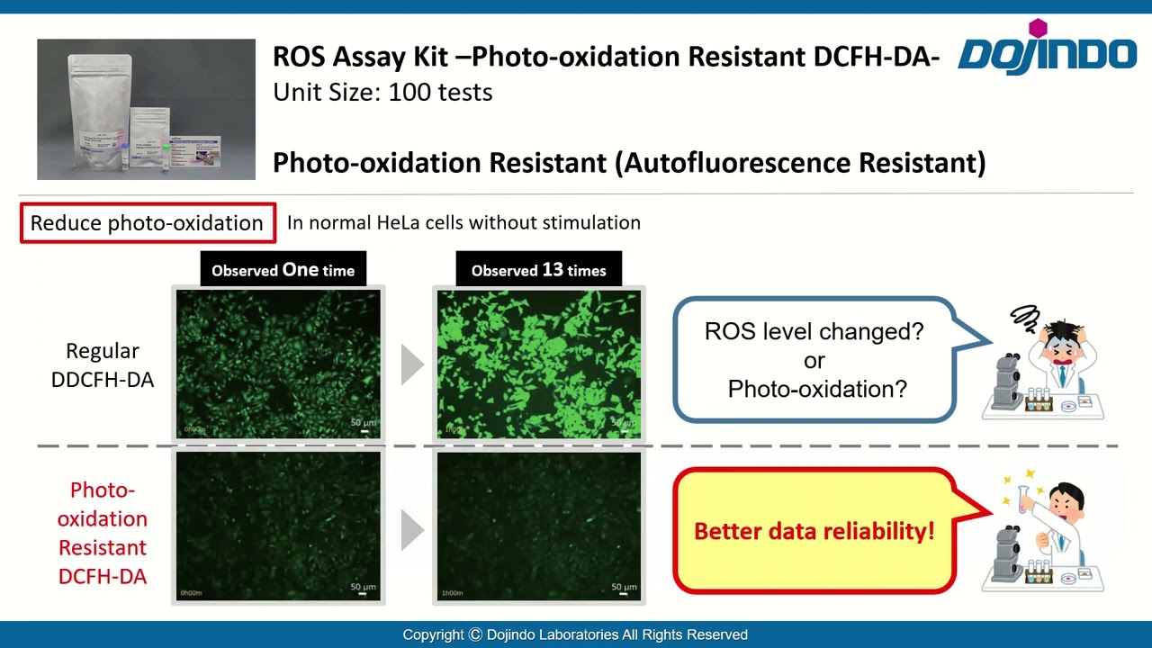 (ROS Assay Kit -Photo-oxidation Resistant DCFH-DA-)　Dojindo Laboratories