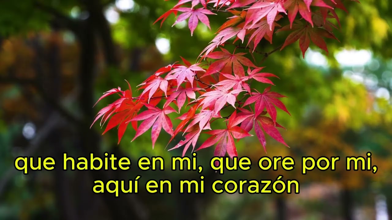 Envíame tu Espíritu