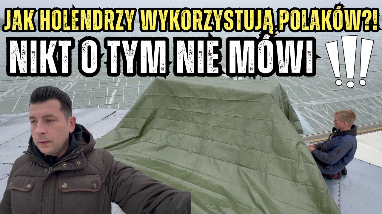 Jak Holendrzy WYKORZYSTUJĄ Polaków? Prawda, o której się nie mówi…