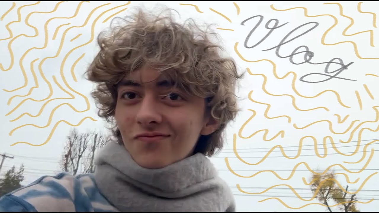 vlog usa