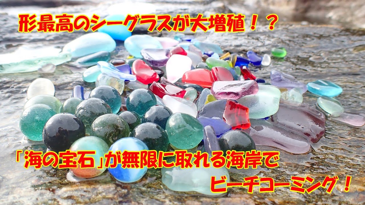 形最高のレアシーグラスを大量ゲット！　やっぱりこの海岸はレアシーグラスしか取れん！