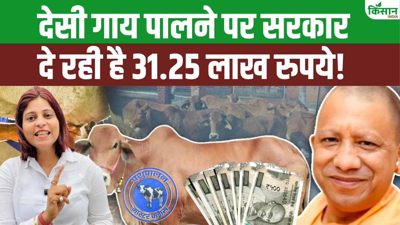गाय पालने पर मिलेगी लाखों की मदद | Dairy Business Yojana 2025। Nandini Krishak Samriddhi Yojana