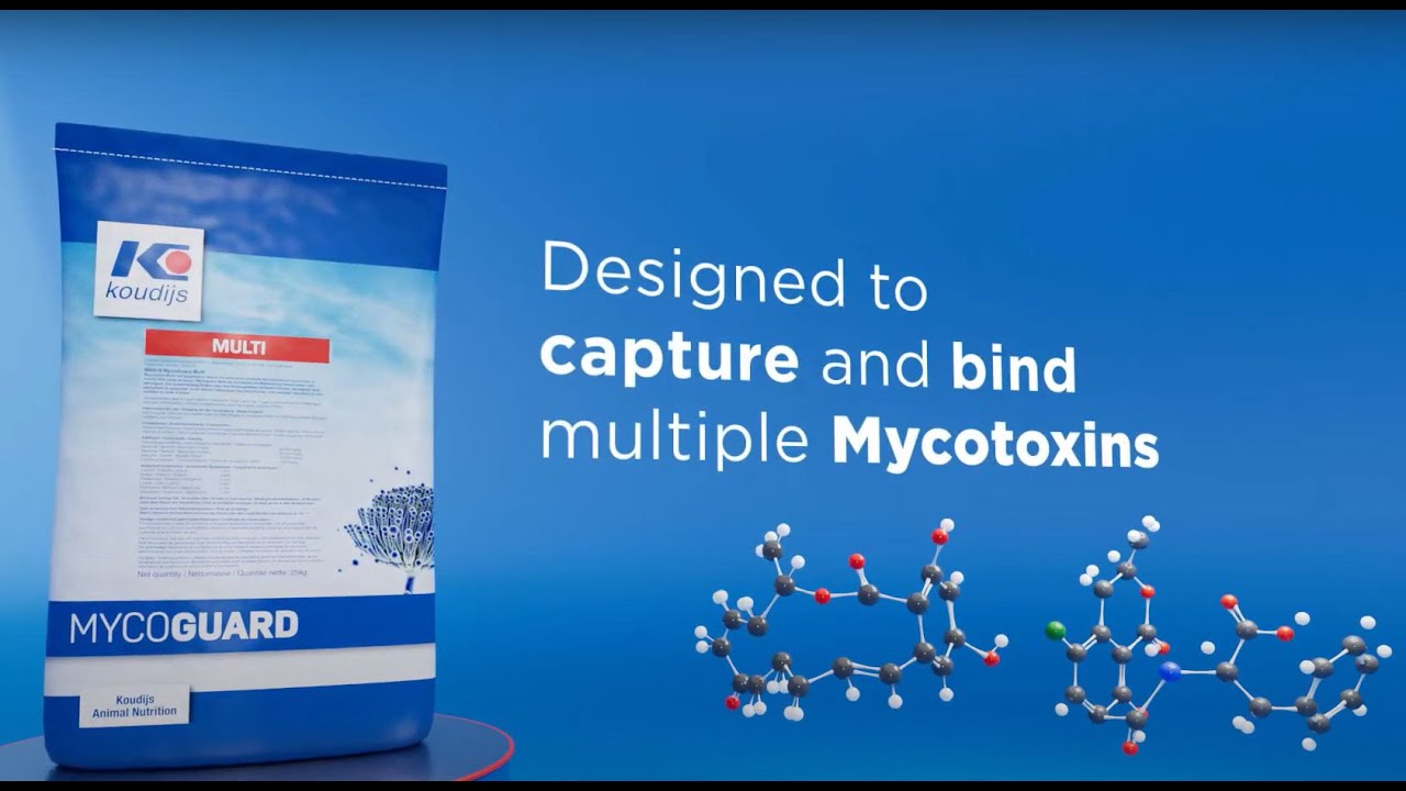 Адсорбенти мікотоксинів Koudijs MycoGuard Multi
