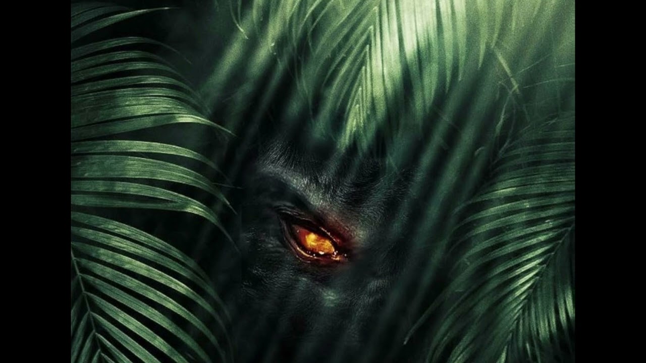 [FREE] NASCAR ALOE x LIL DARKIE x TRIPLESIXDLETE x DIRTYBUTT x DENZEL CURRY x PROBLEMCHILD TYPE BEAT