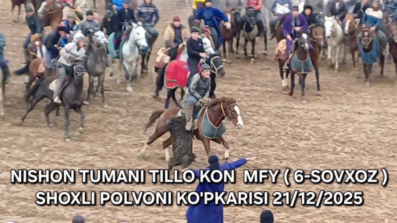 NISHON TUMANI TILLA KON MFY ( 6-SOVXOZ ) #SHOXLI_POLVONI KO'PKARISI 21/12/2025